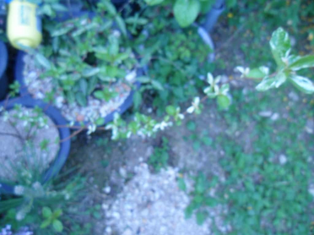 ? 1