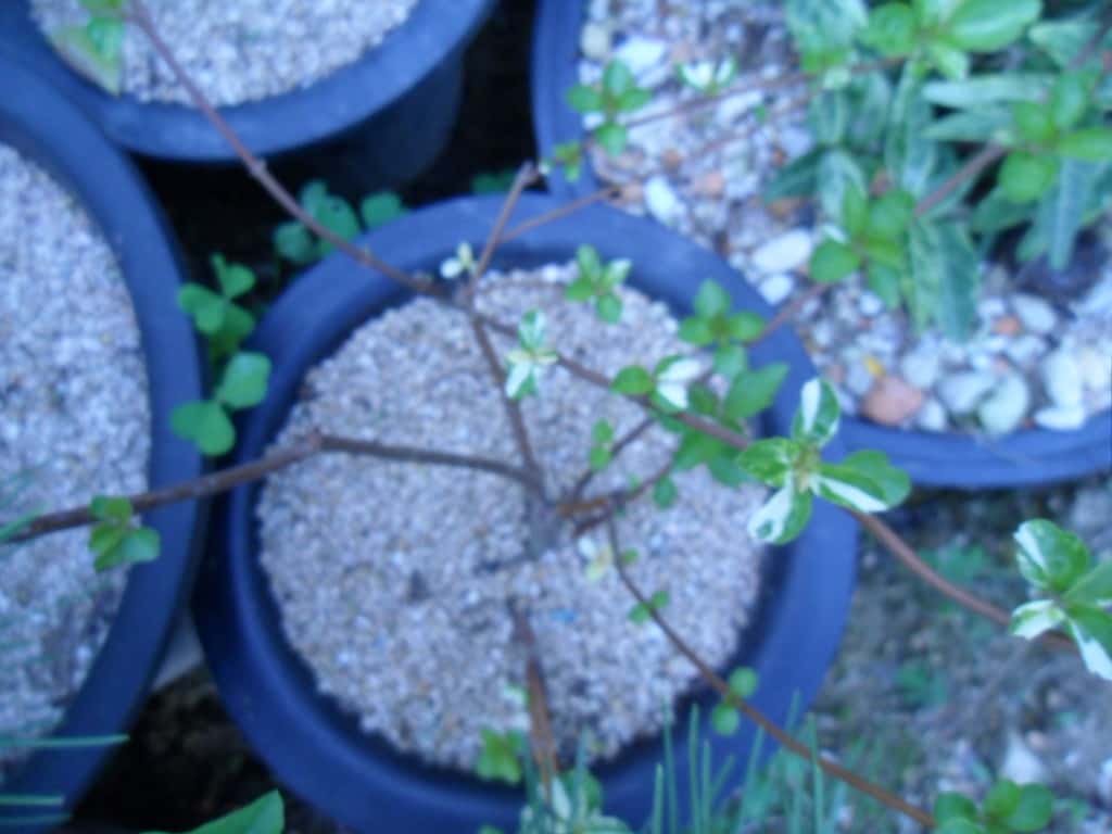 ? 2