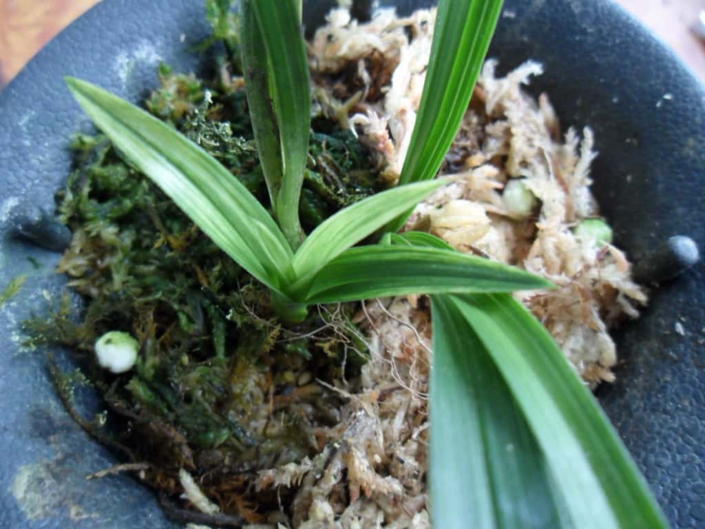전면 산반 3