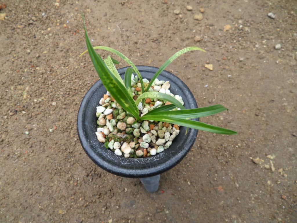상품