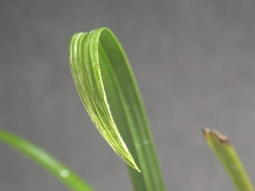 산반 3