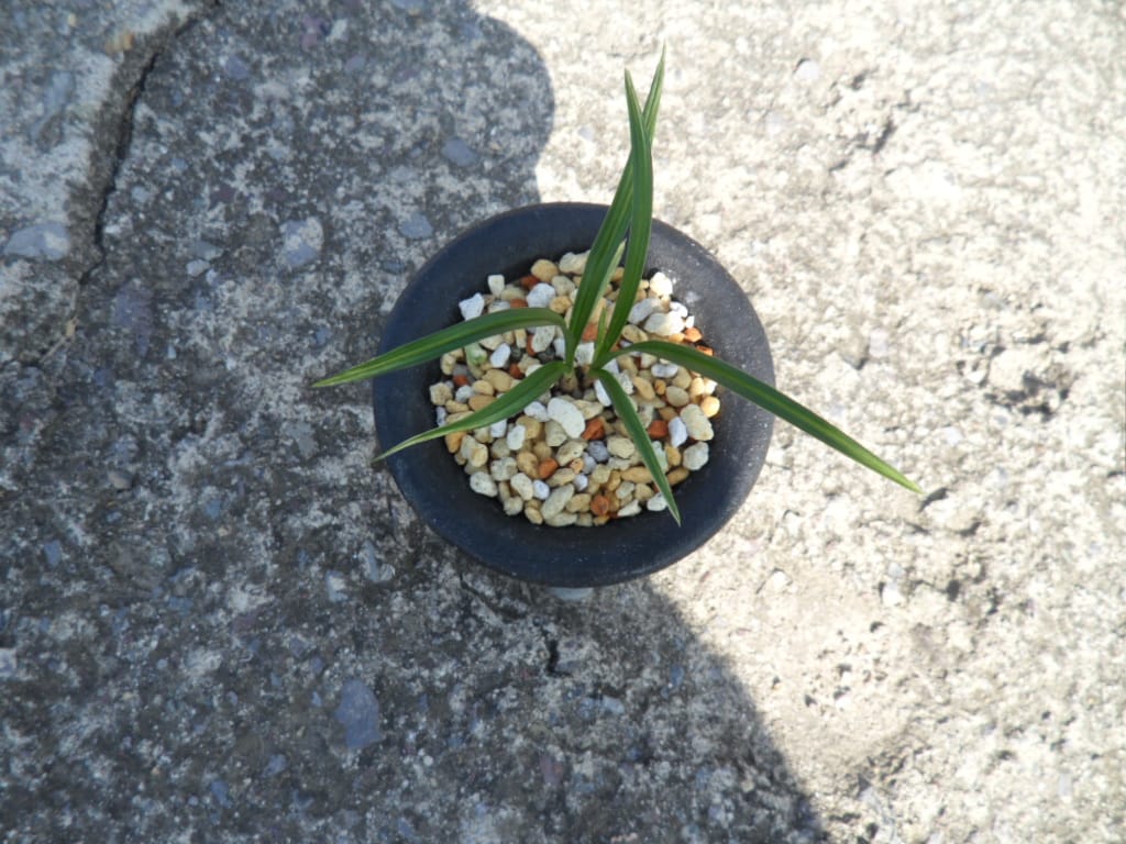 산반 1