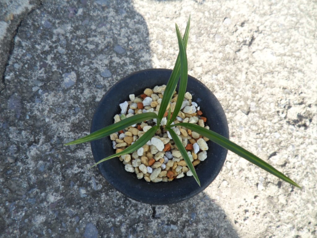 산반 2