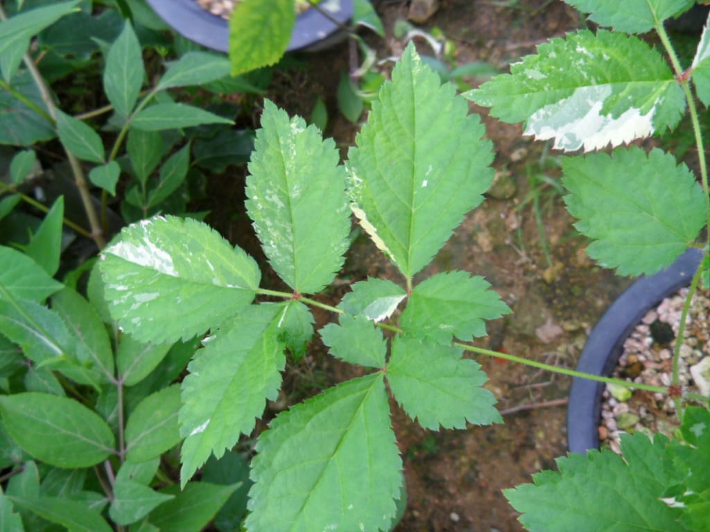 ? 2