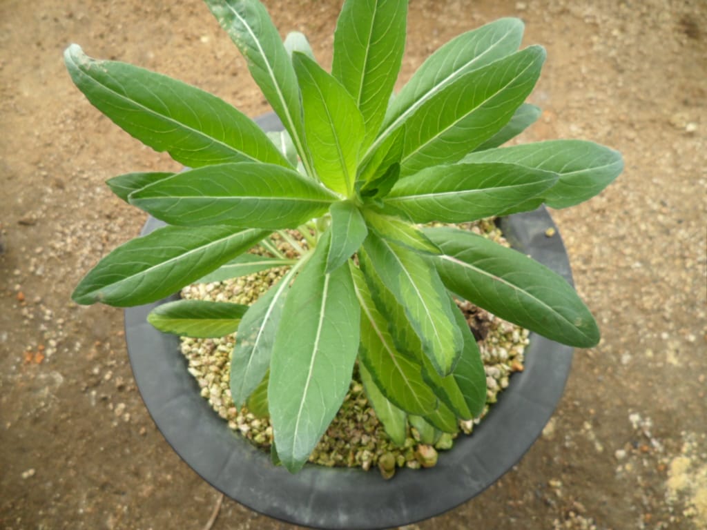 ? 1