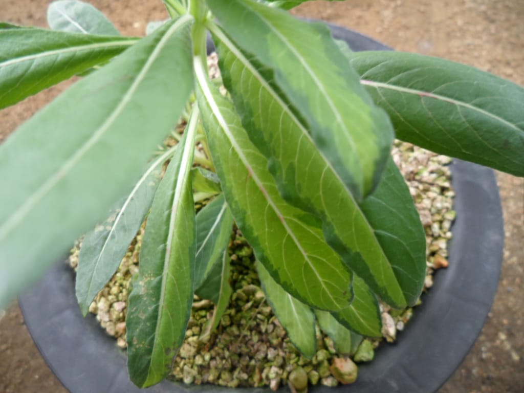 ? 2