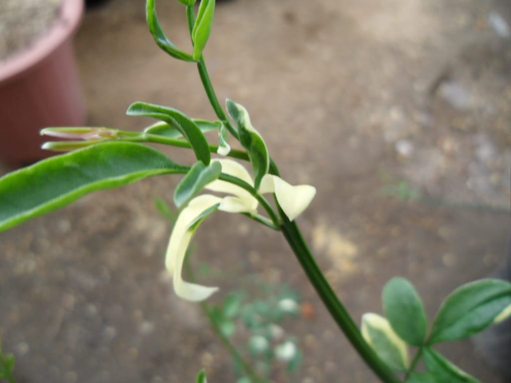 ? 3