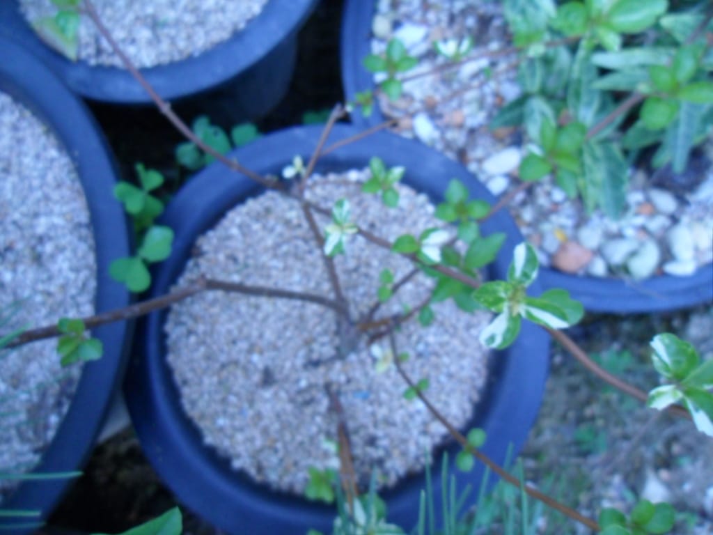? 2