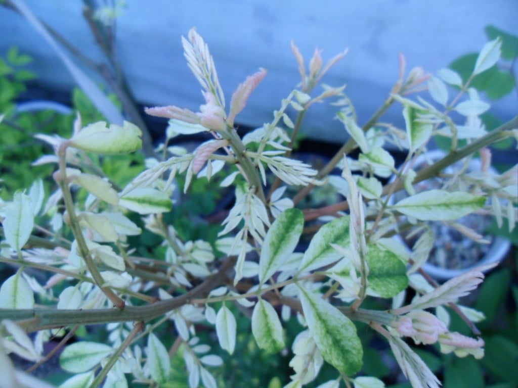? 1